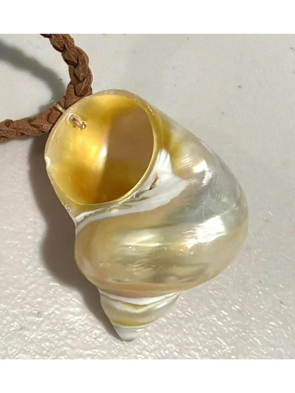 Free People Beach Shell Pendant Necklace Adjustable Chain Natural Brown & Cream - Picture 7 of 7